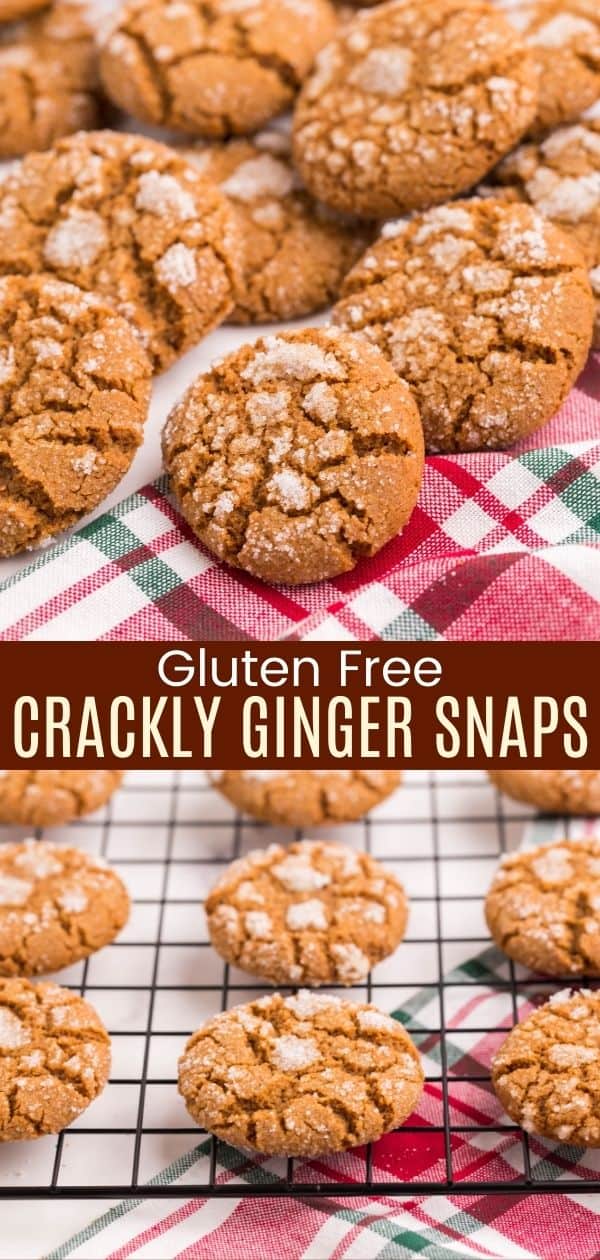 Gluten Free Gingersnaps with a Crackle Sugar Topping