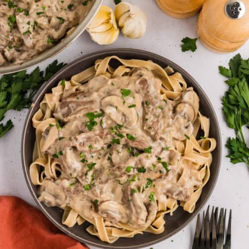 A plate of beef stroganoff over egg noodles