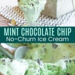 Mint chocolate chip ice cream dripping out of a glass dish and in a loaf pan with a scoop