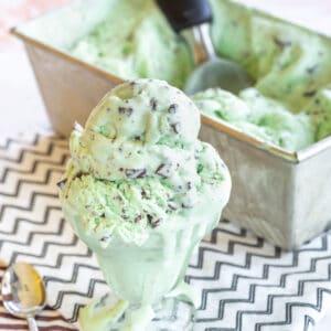 Mint chocolate chip ice cream in a footed glass sundae bowl