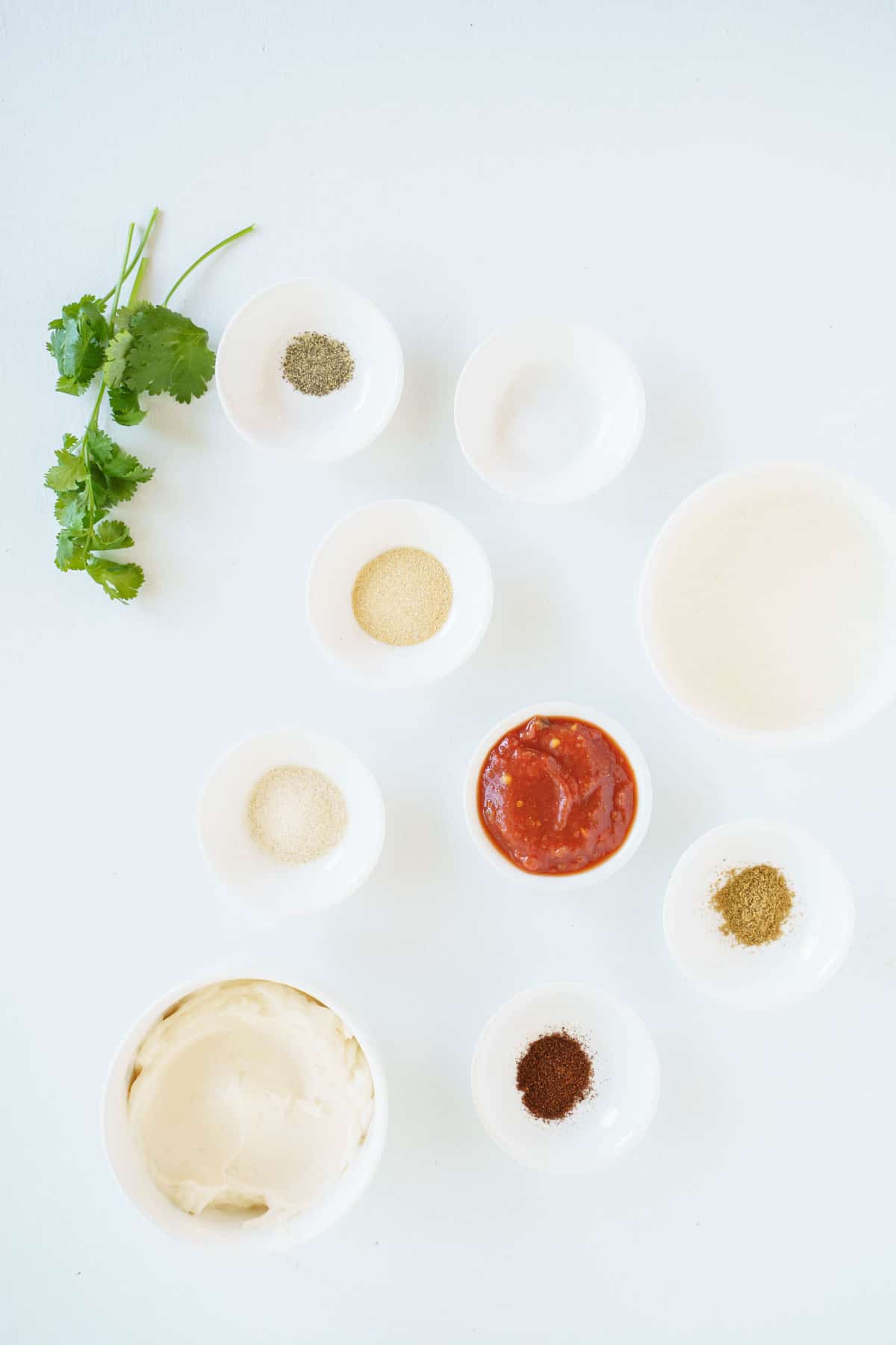 Bowls of Salsa, Cream, Cumin and the Rest of the Dressing Ingredients on a White Countertop