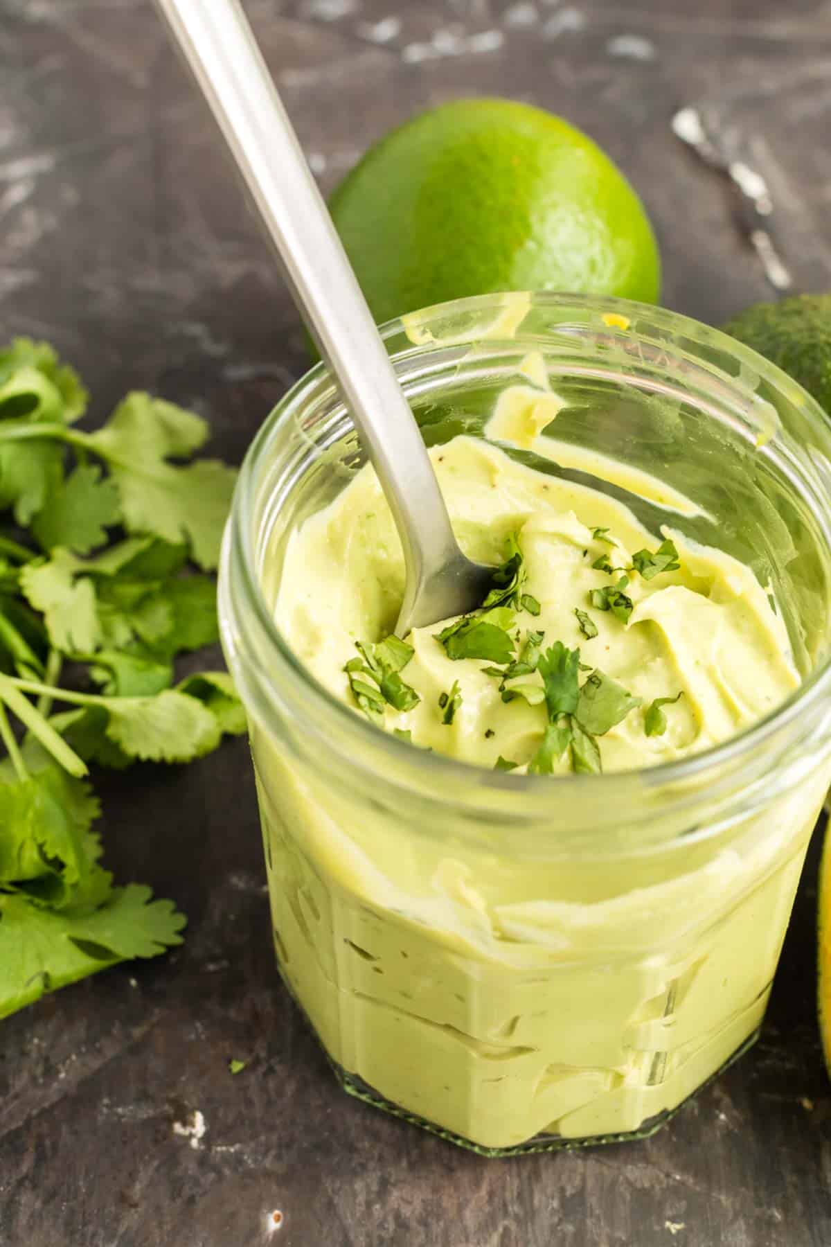 spoon in a jar of avocado crema with a garnish of cilantro on top