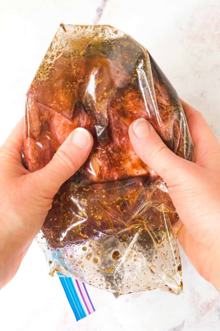 hads holding the sealed bag with the steak and marinade