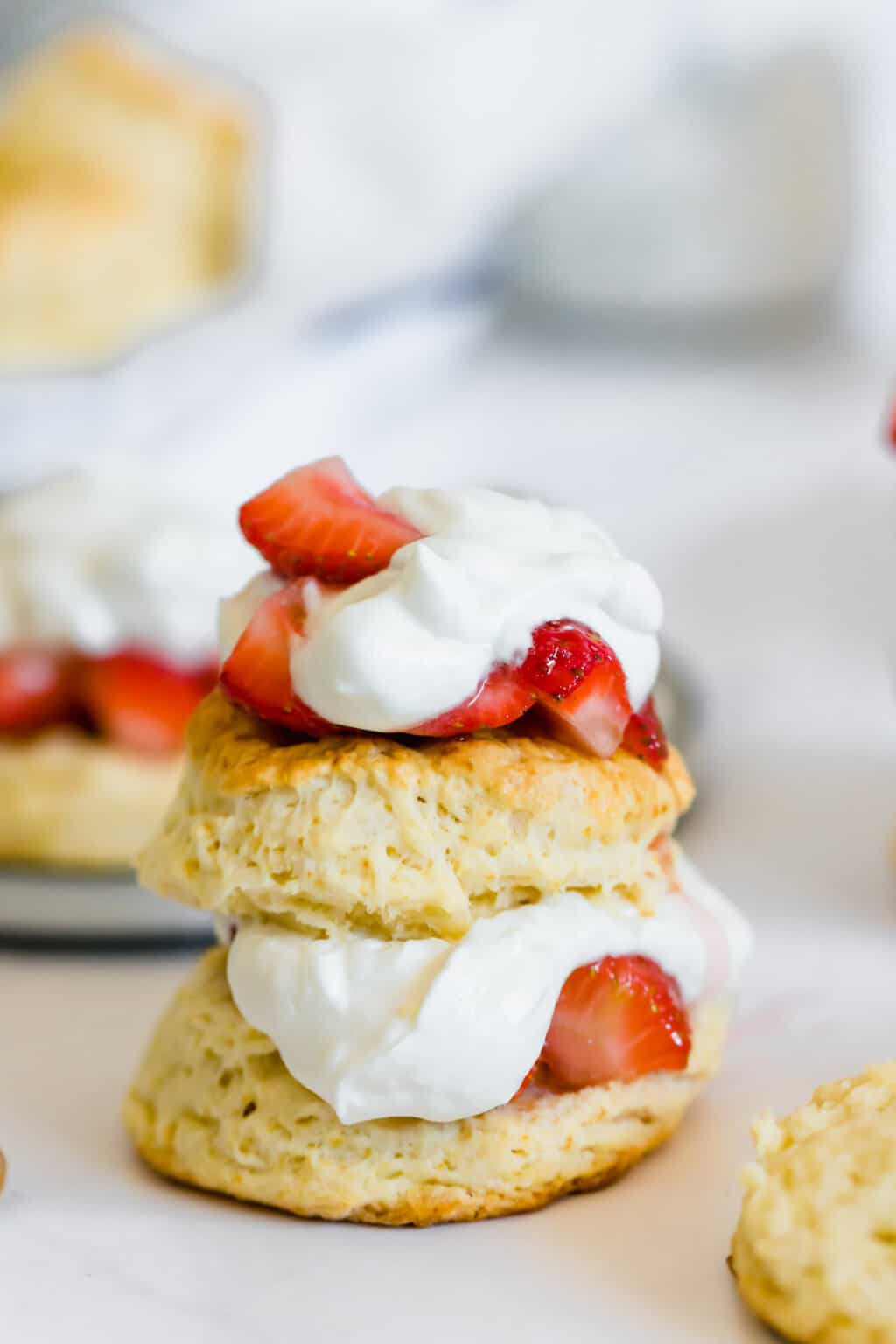 90+ Picnic Desserts - dessert recipes for your summer party!