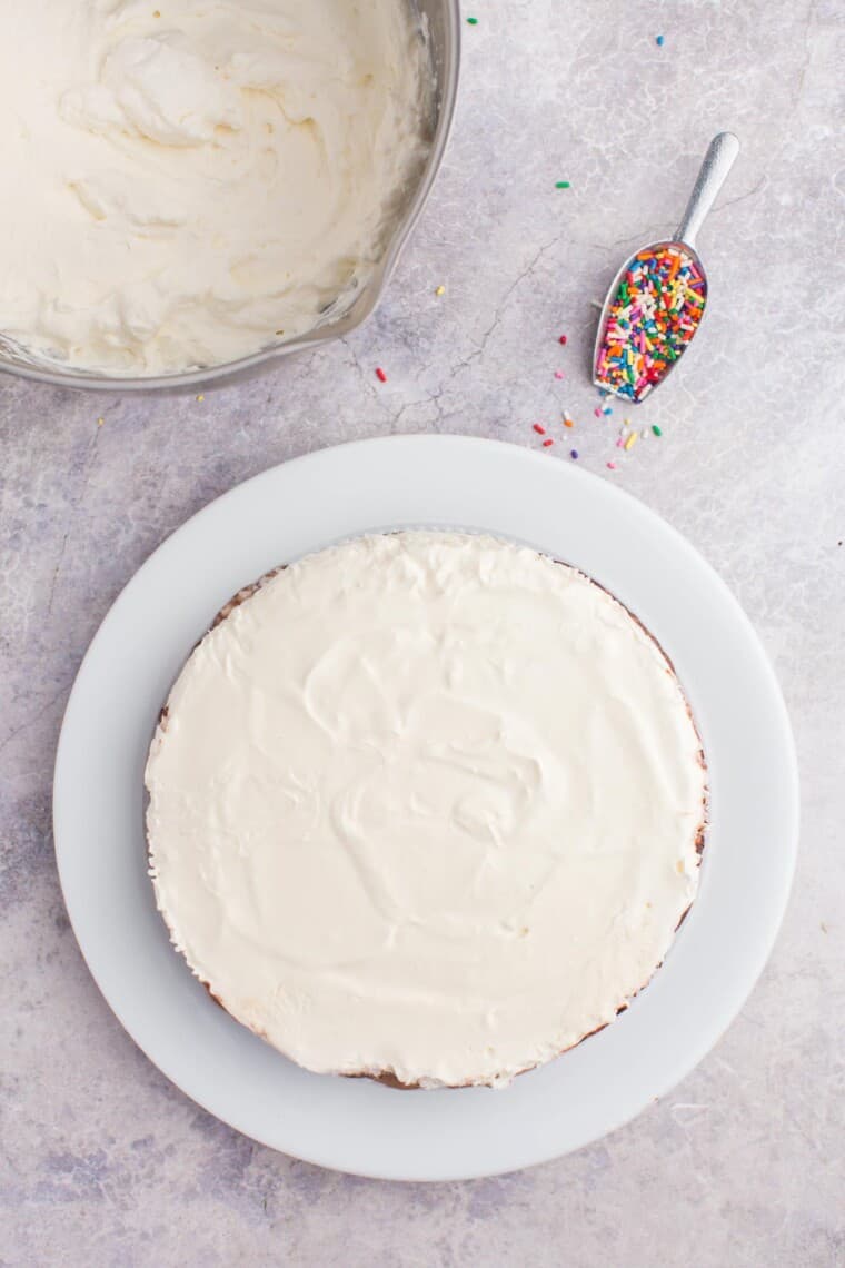 unfrosted frozen ice cream cake on a white plate next to a bowl of whipped cream