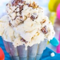 closeup of a small cup of the ice cream with muddy buddies mixed in