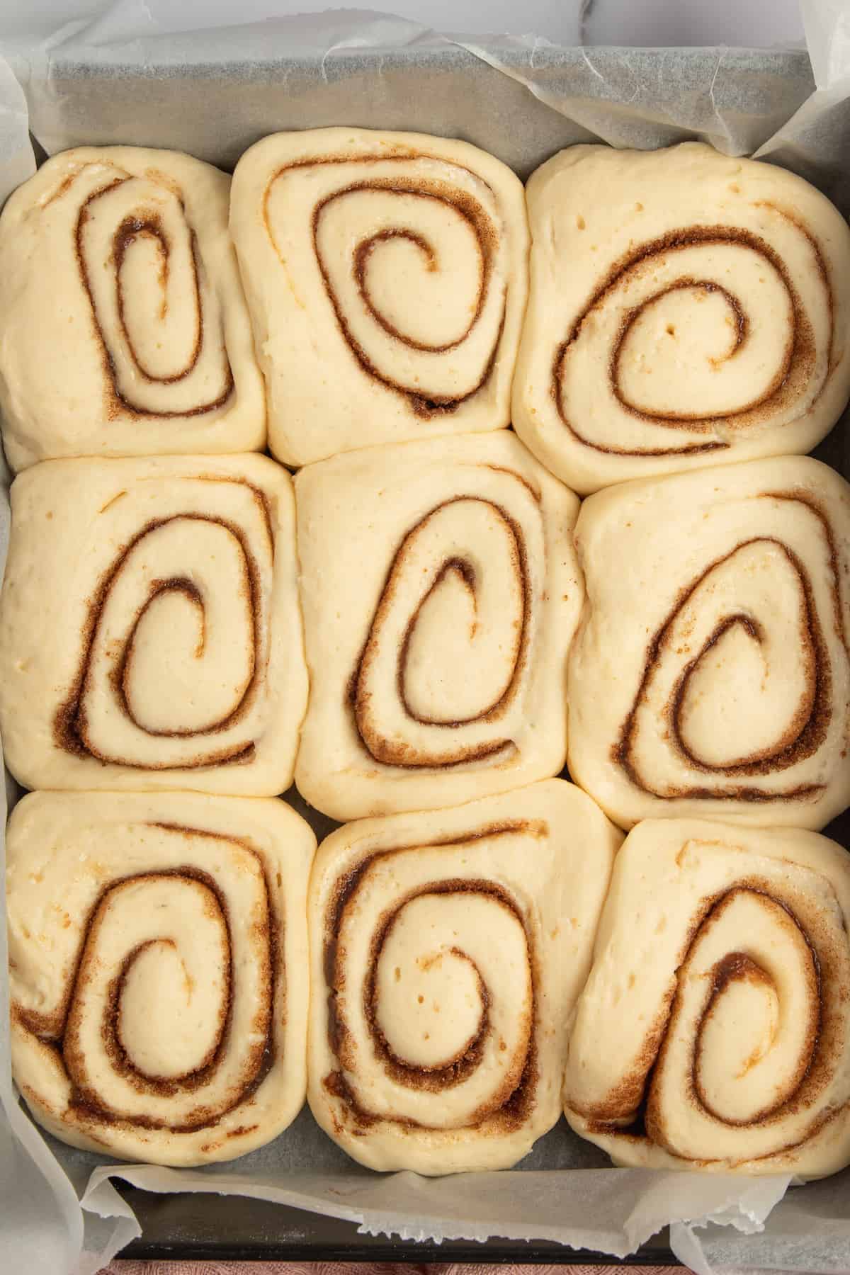 Risen cinnamon roll in a pan.