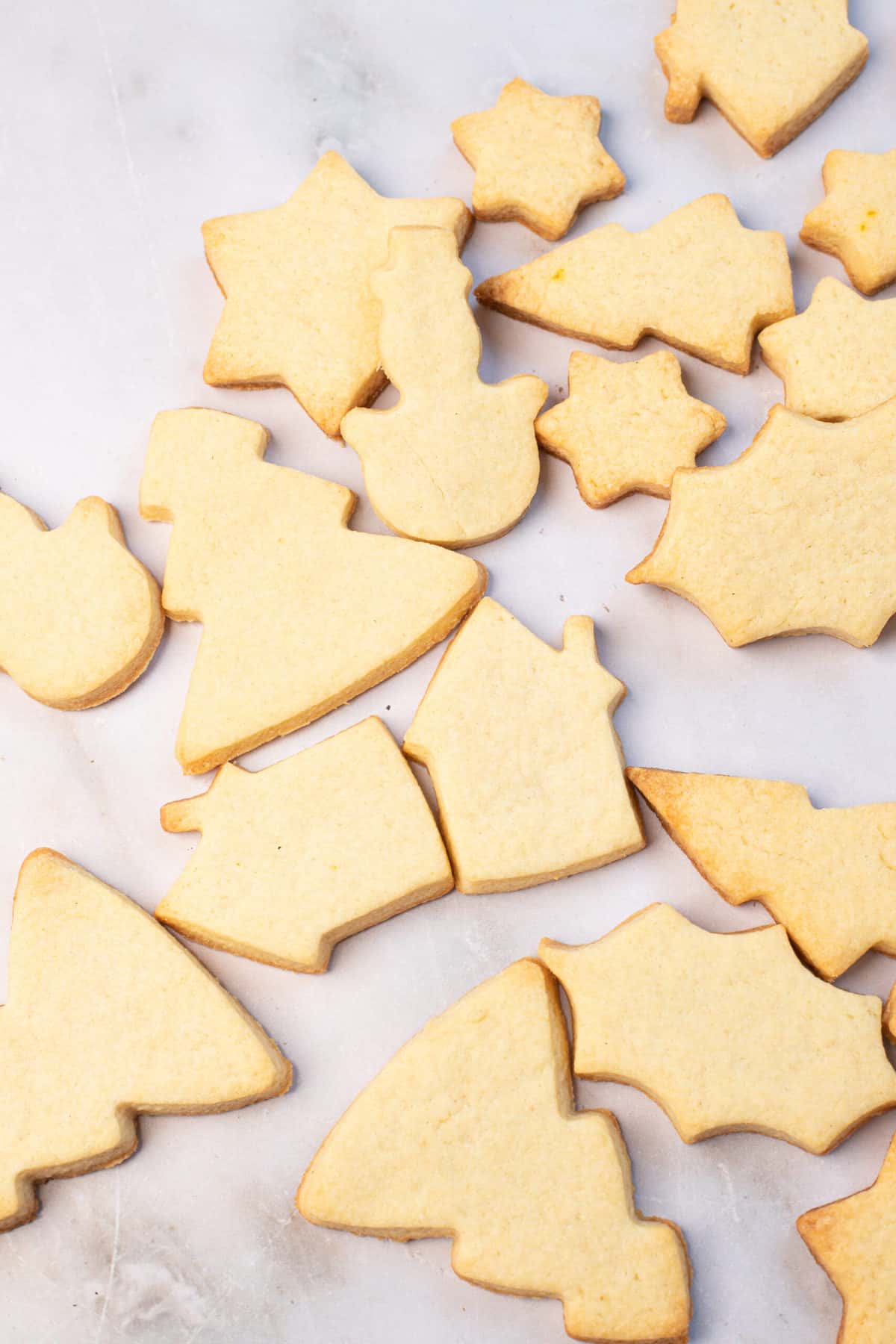 baked undecorated sugar cookies
