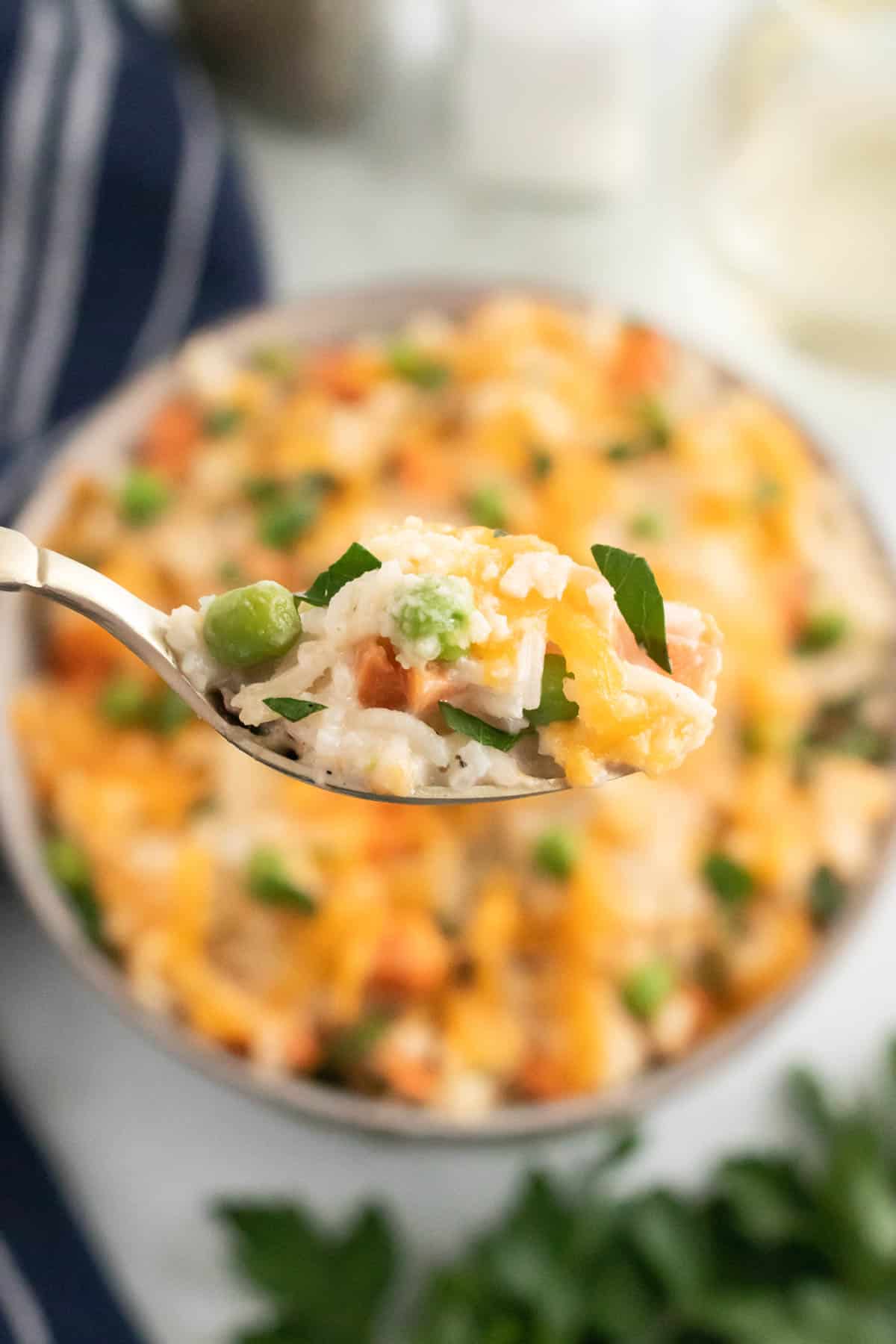 A spoonful of chicken and rice with a bowl in the background.