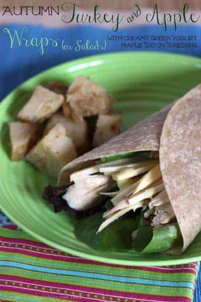 An apple and turkey salad wrap on a plate.