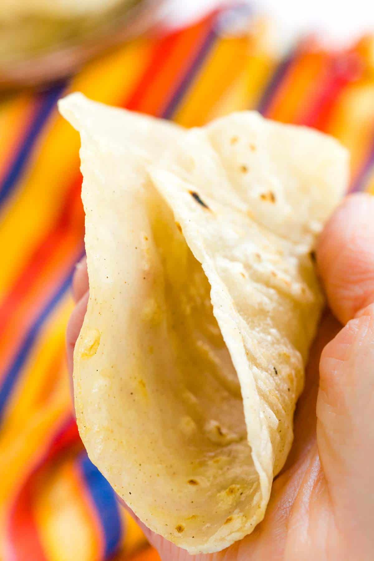 A hand holds a folded gluten free tortilla.