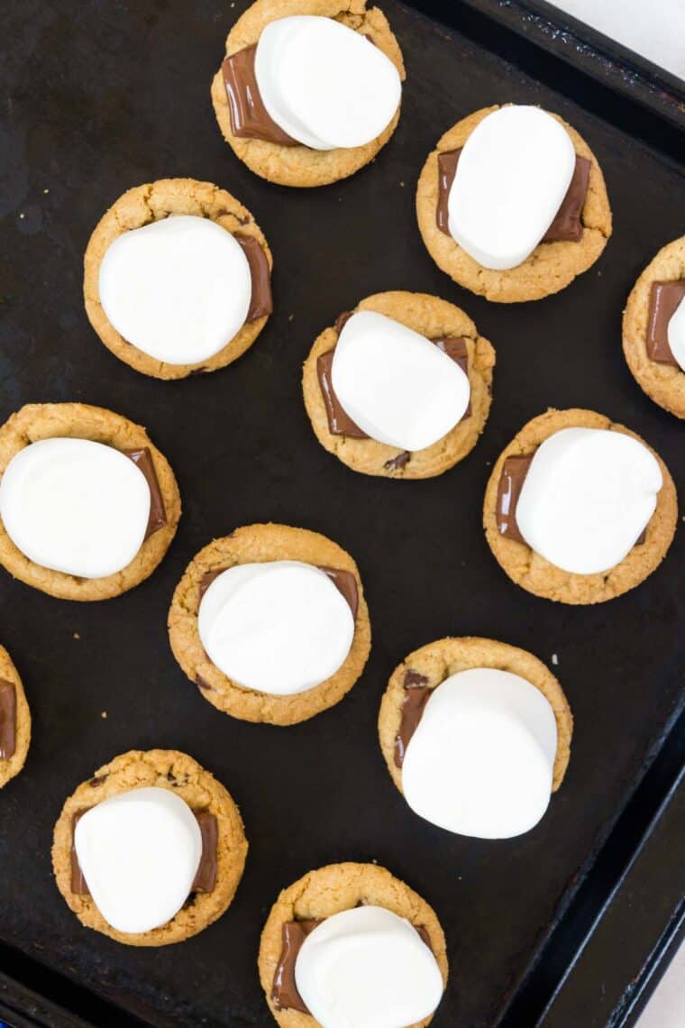 Twelve marshmallows pressed into pools of melted chocolate on top of chocolate chip cookies