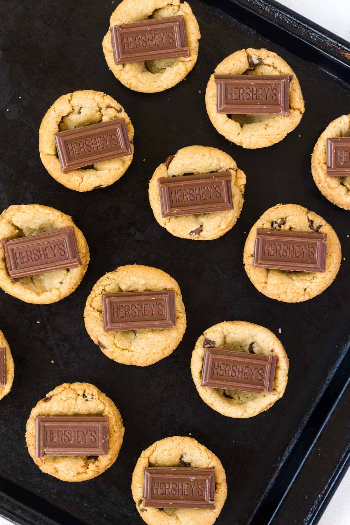 A dozen chocolate chip cookies with squares of chocolate pressed into the tops