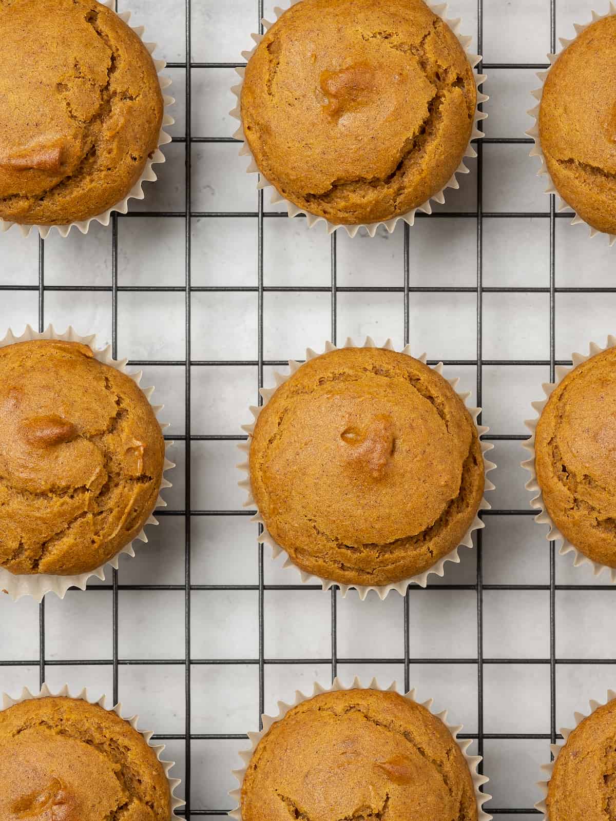 Top view of rows of baked gluten free pumpkin cupcakes on a wire rack.