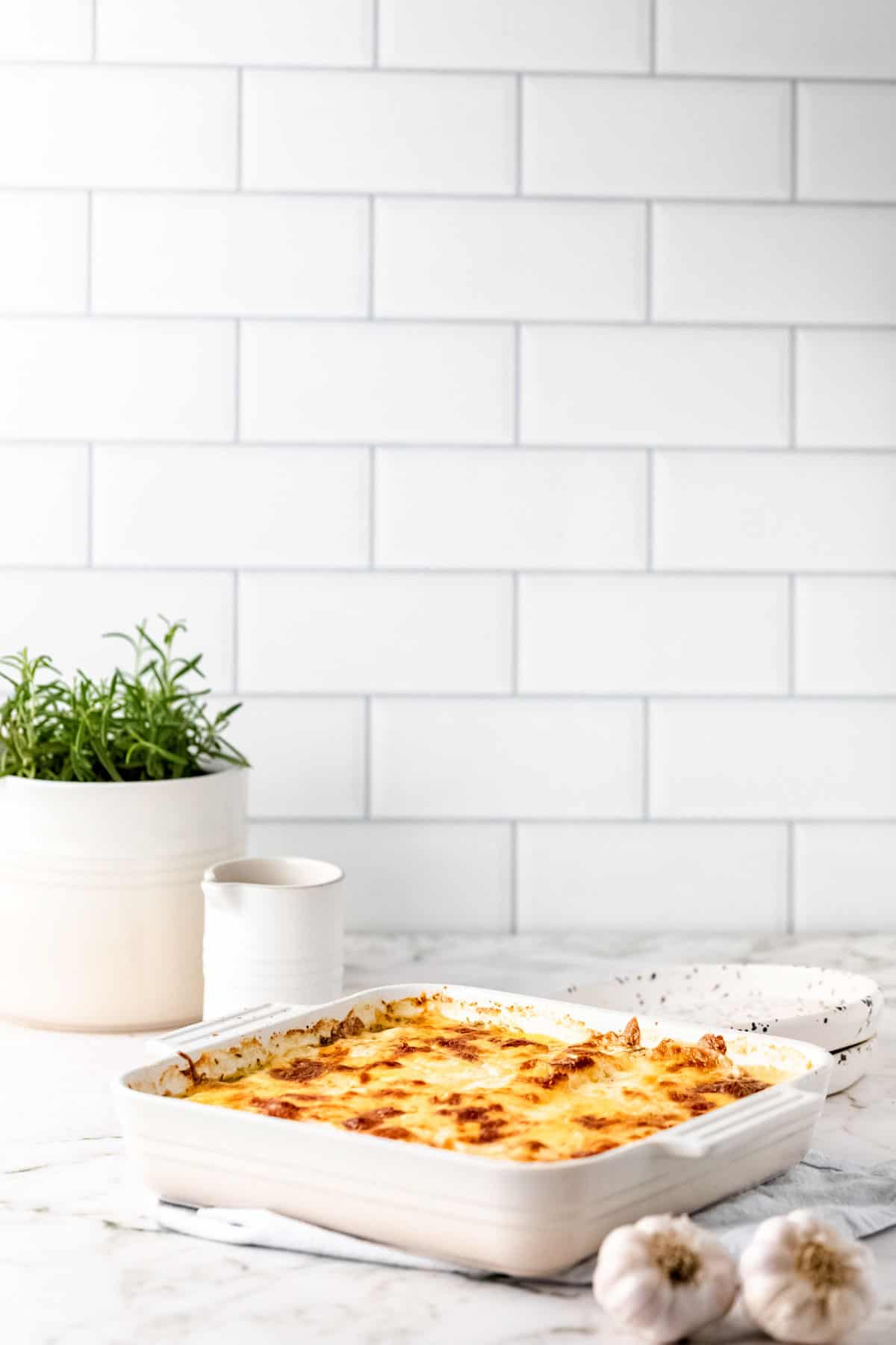 A white baking dish of scalloped potatoes on a countertop next to garlic bulbs.