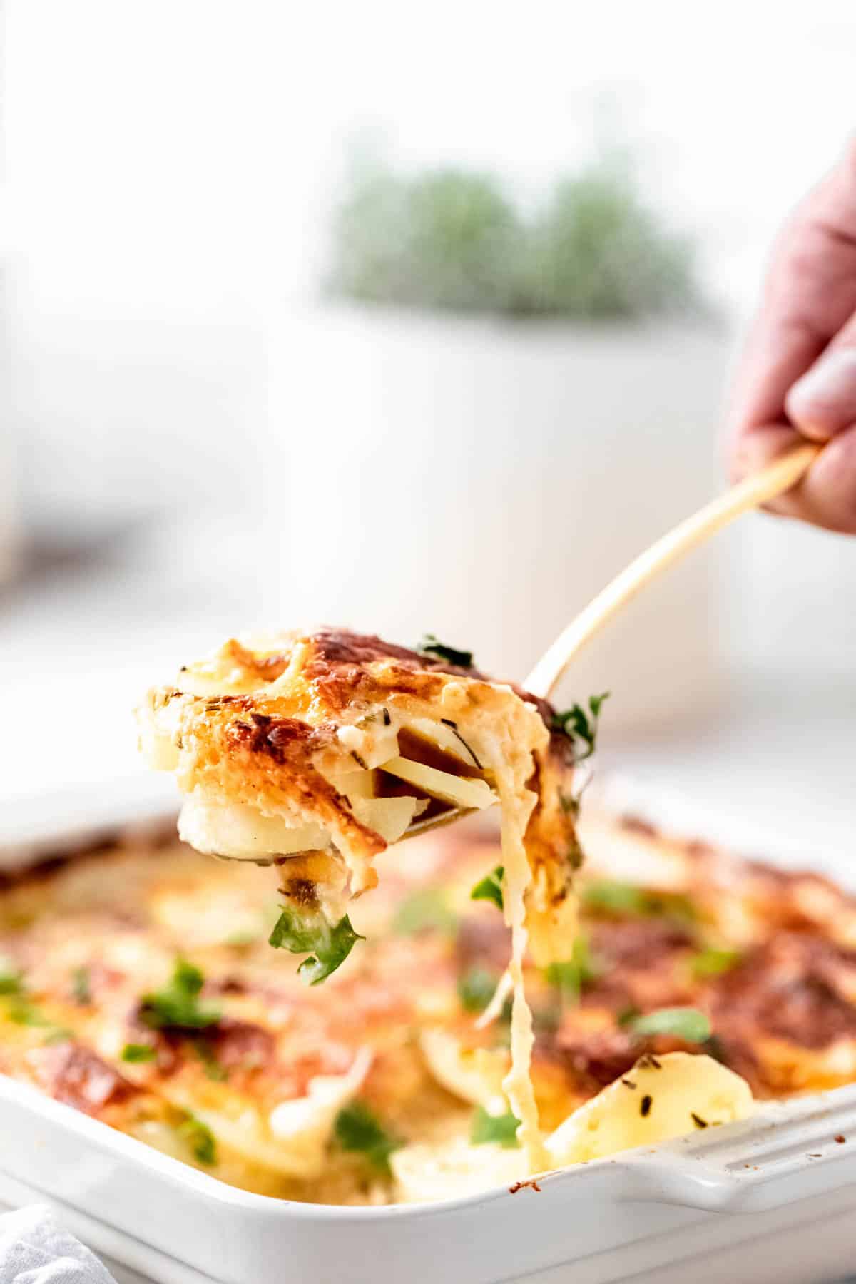 A hand scoops a serving of scalloped potatoes from a baking dish with a serving spoon.