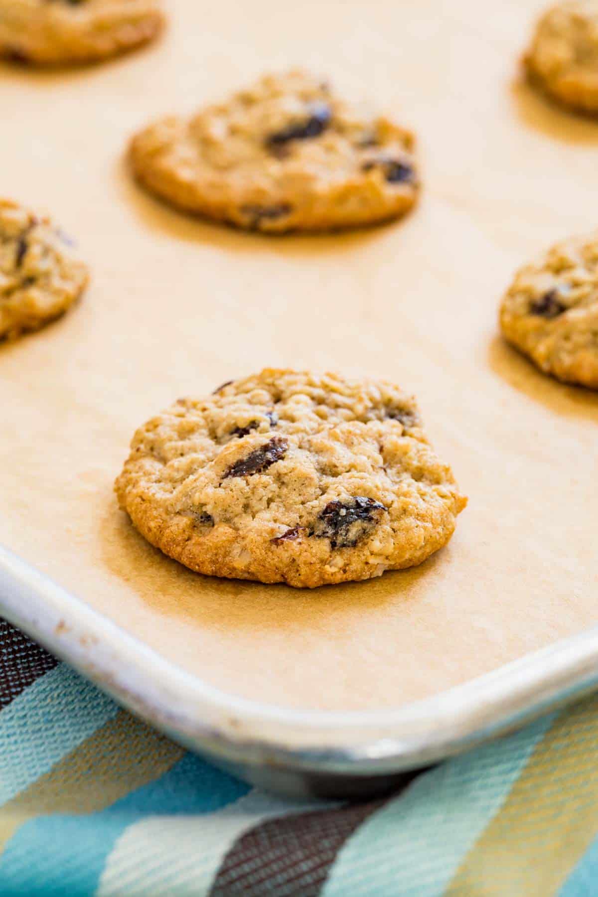 Chewy oatmeal raisin cookies on a baking sheet.