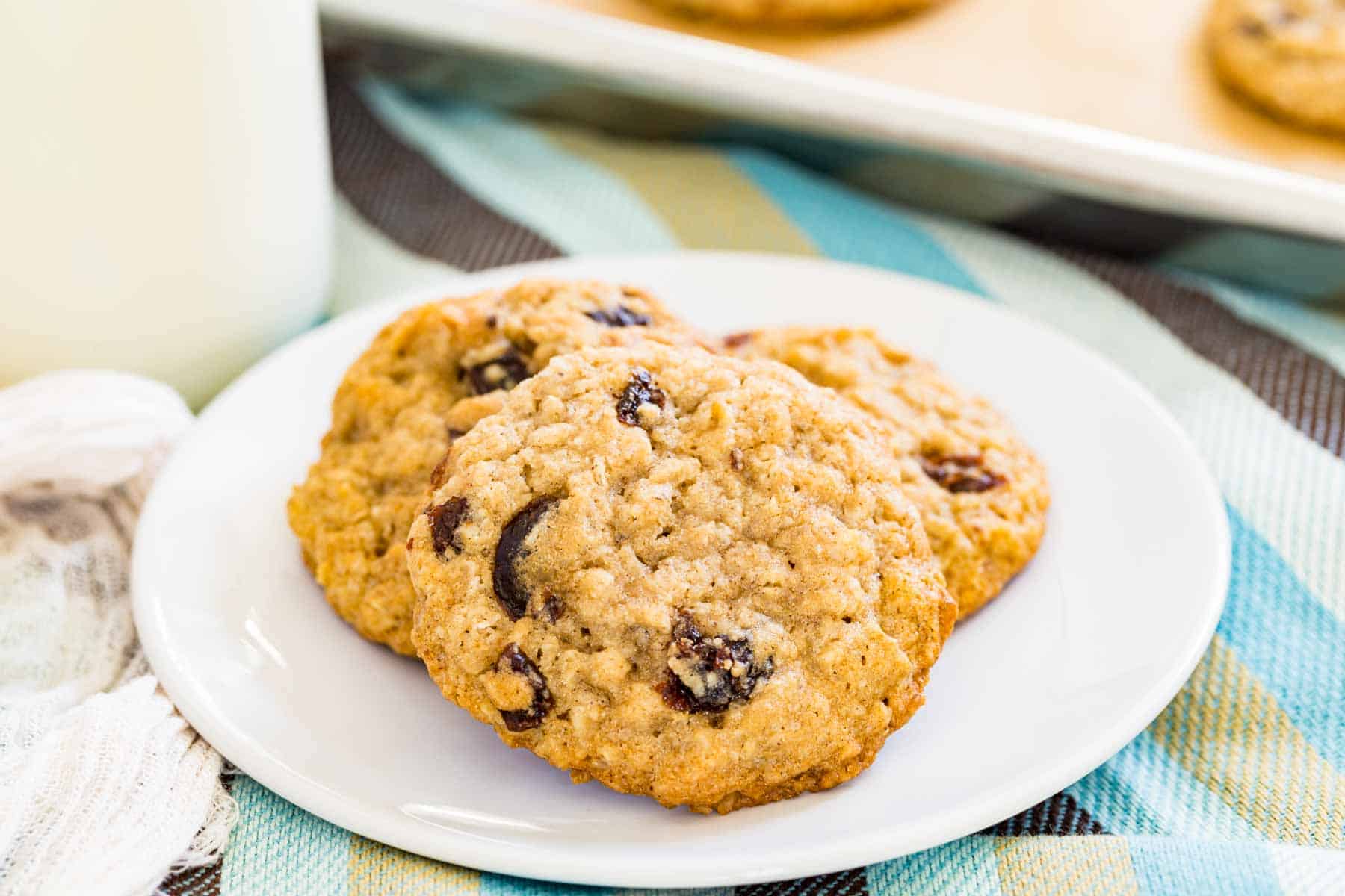 Three gluten free oatmeal raisin cookies on a white plate.