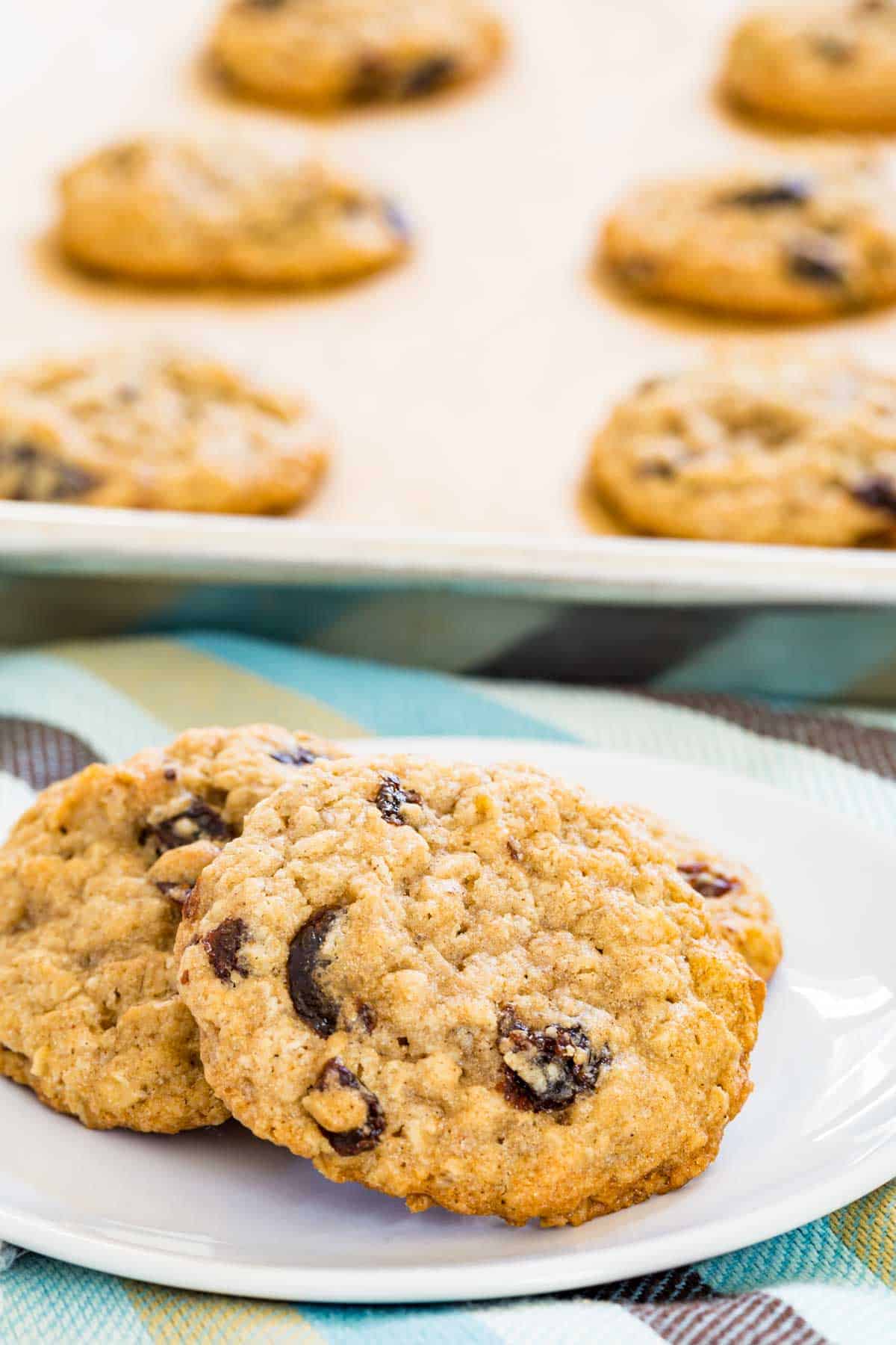 Three gluten free oatmeal raisin cookies on a white plate with a baking sheet filled with cookies in the background.