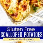 The corner of a baking dish filled with cheesy scalloped potatoes, with a serving spoon and the full casserole on a dish towel divided by a blue box with text that says "Gluten Free Scalloped Potatoes" and the words cheesy, easy, abnd creamy.