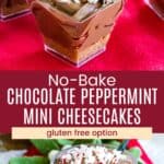 Mini chocolate peppermint cheesecakes in small square dessert cups and one in a mini jelly jar divided by a red box that says "No-Bake Chocolate Peppermint Mini Cheesecakes" and the words "gluten free option".