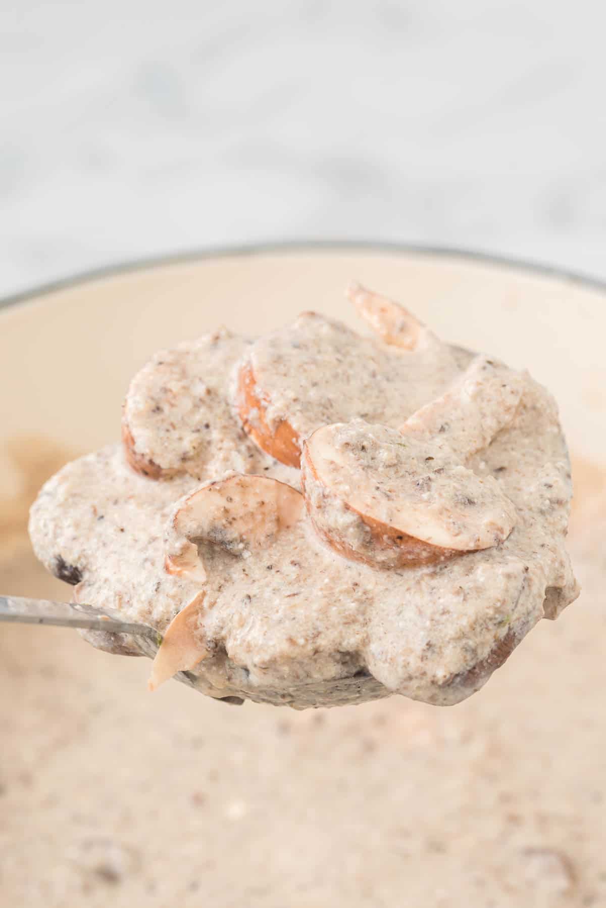 A scoop of cream of mushroom soup on a ladle.