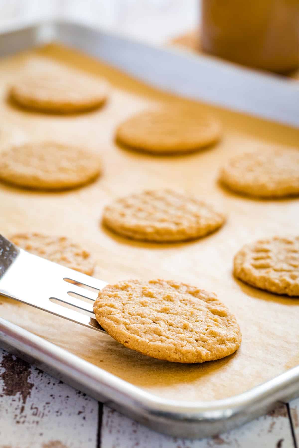 A spatula lifts a gluten-free peanut butter cookie from a lined baking tray of cookies.