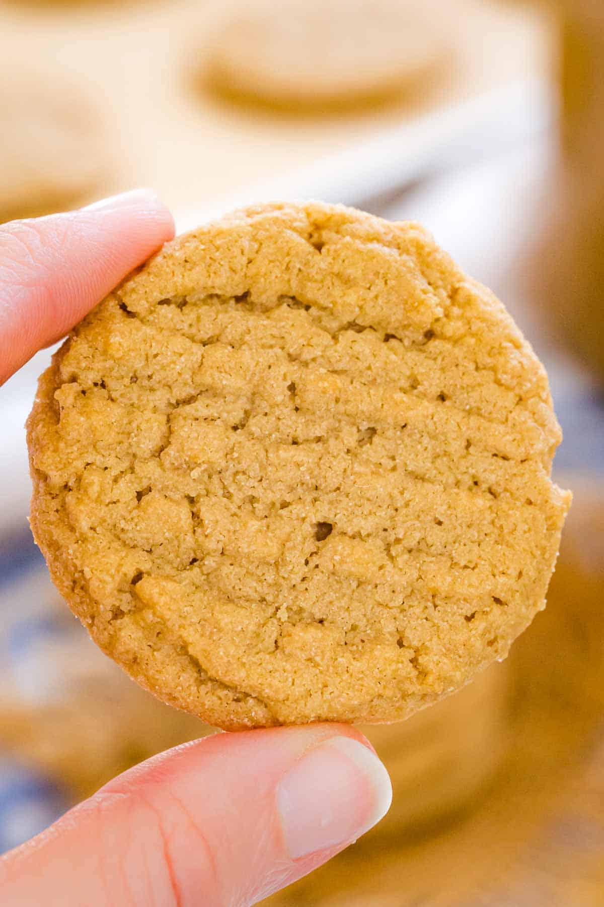 Close up of two fingers holding up a gluten-free peanut butter cookie.