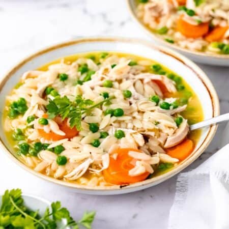 A bowl of chicken orzo stew filled with pieces of chicken, carrots, and peas.