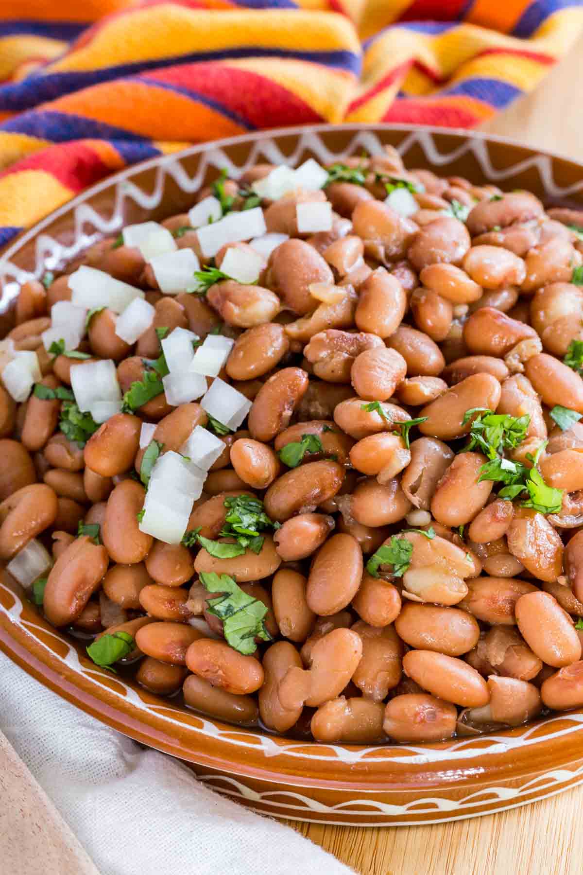 Instant Pot Pinto Beans - No Soak and Soaked Options