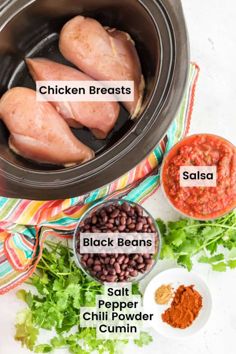Labeled ingredients to make salsa chicken including chicken breasts in a crock pot, salsa, black beans, and a small dish of spices.