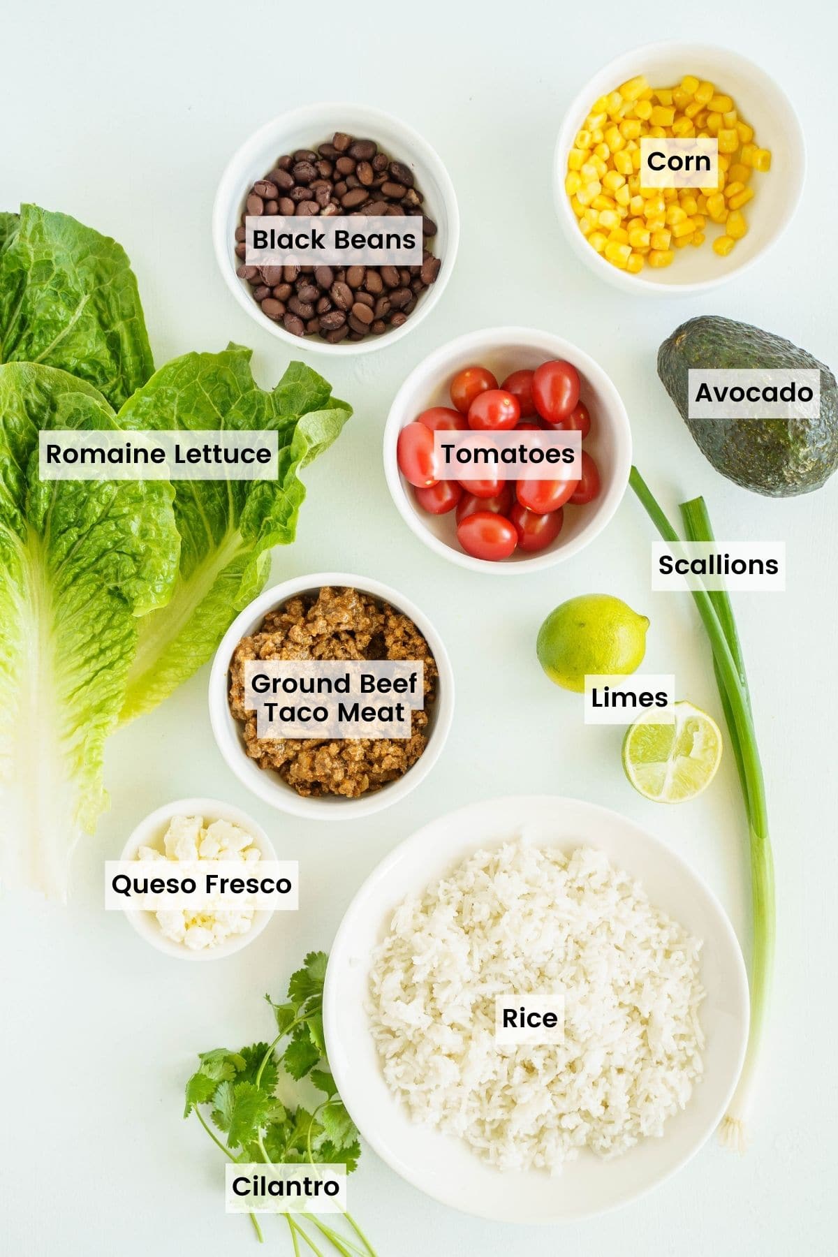 Lettuce, Rice, Corn, Beans, Beef, and the Other Burrito Bowl Ingredients on a White Surface with text labels.