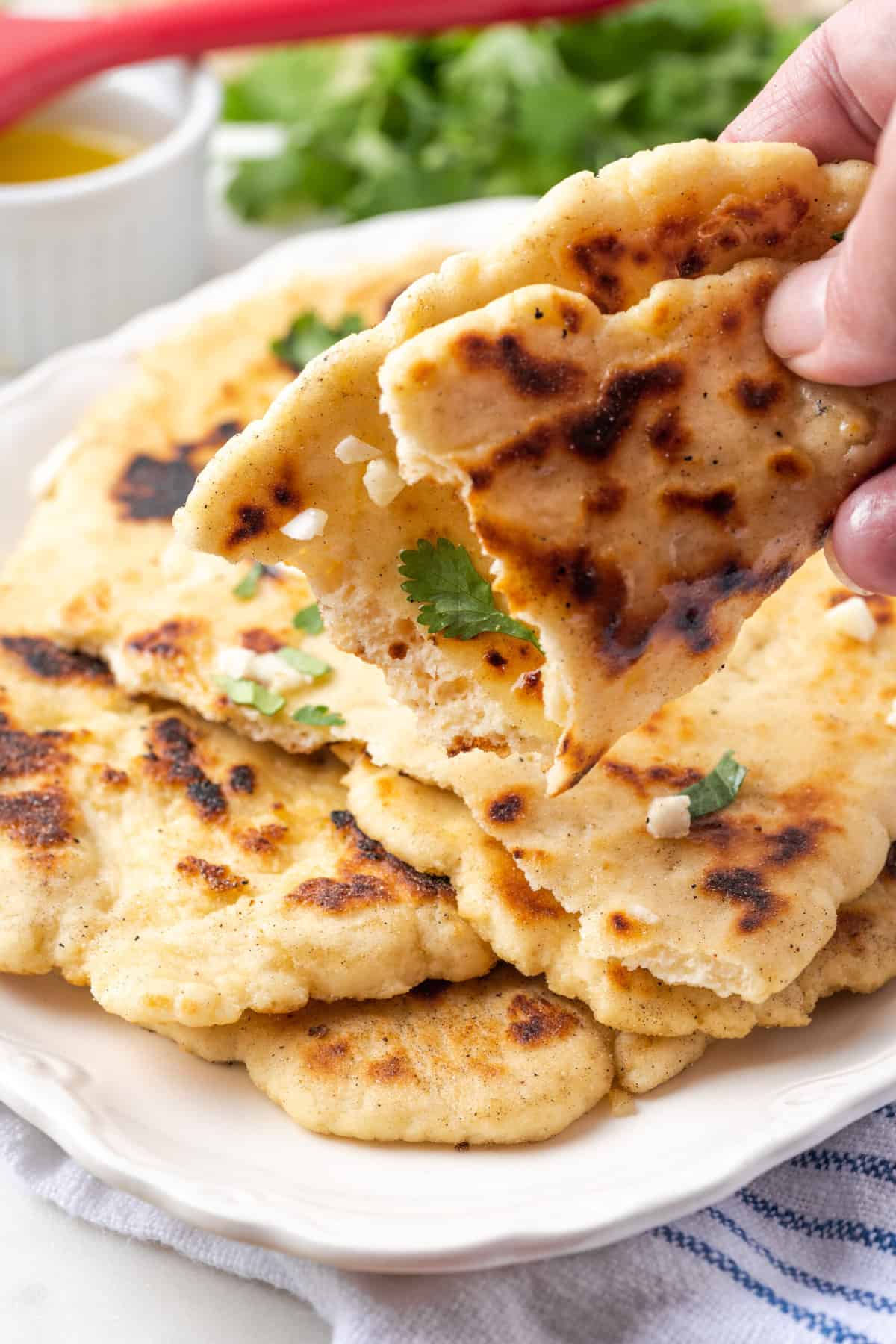 A hand lifts a piece of gluten-free naan with more naan in the background.