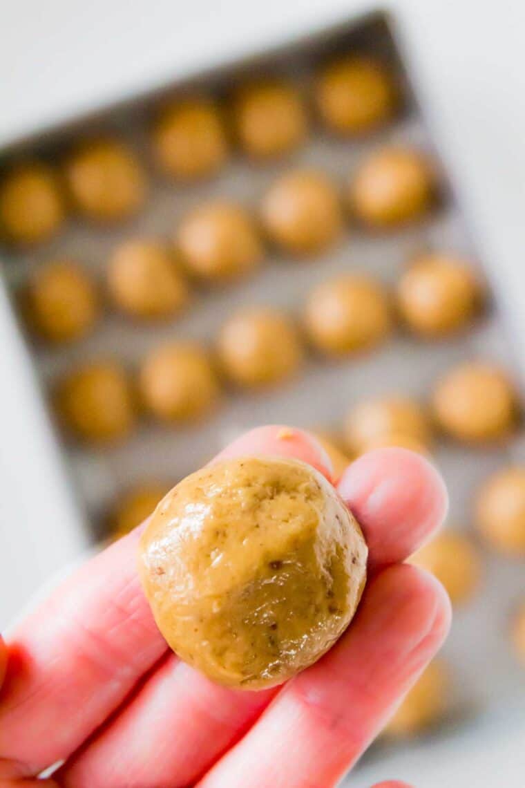 A hand holds a peanut butter ball close to the camera.