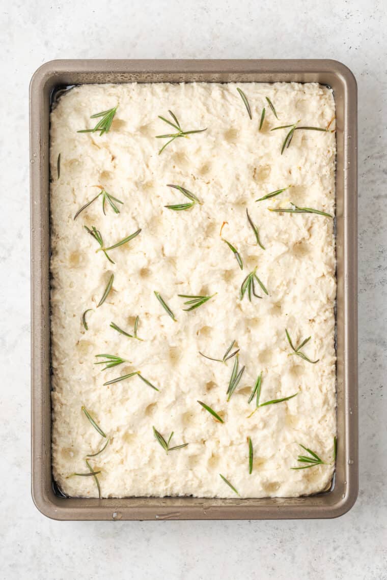 A pan of gluten free focaccia is shown with fresh rosemary on the top.