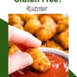 A photo of fingers dipping a tater tot in ketchup on a green and white background with text overlay that says "Are Tater Tots Gluten Free?"..