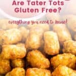 A plate of tater tots with text overlay that says "Are Tater Tots Gluten Free?: Everything You Need to Know".