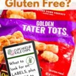 A bag of Ore-Ida Tater Tots with text overlay that says "Are Tater Tots Gluten Free?" and a graphic of a tablet device that says "What to look for on Labels and Brands to buy or avoid."