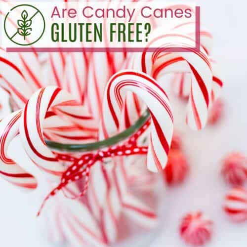 A jar of candy canes with text overlay that says "Are Candy Canes Gluten Free?".