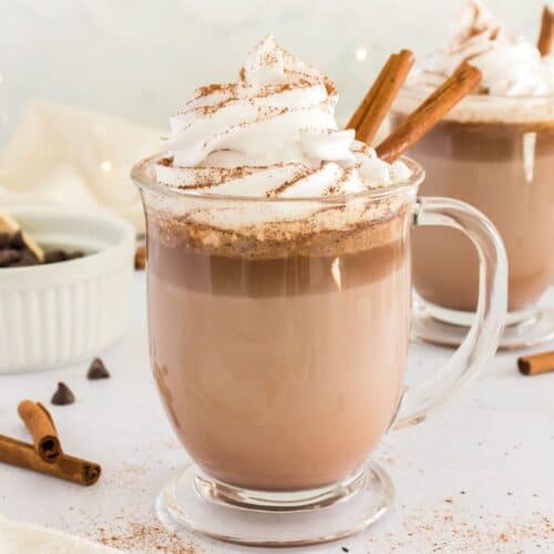A glass mug of Mexican Hot Chocolate topped with whipped cream and garnished with ground cinnamon and cinnamon sticks.