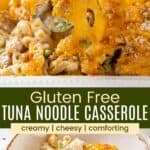 A serving spoon scooping up a cheese-topped pasta casserole and a serving in a bowl with a fork divided by a green box with text overlay that says "Gluten Free Tuna Noodle Casserole" and the words creamy, cheesy, and comforting.