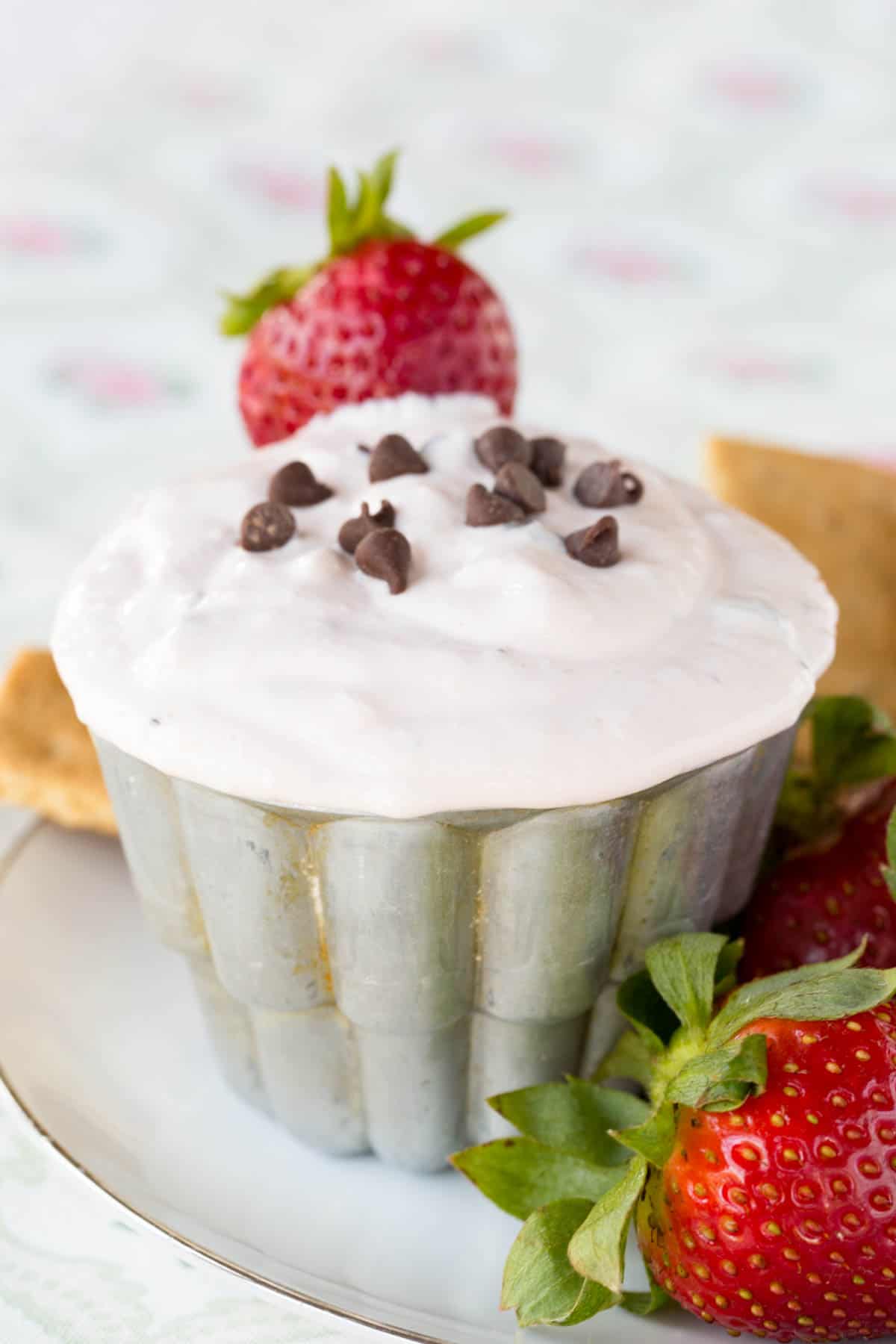 A few mini chocolate chips top a dish of strawberry fruit dip.