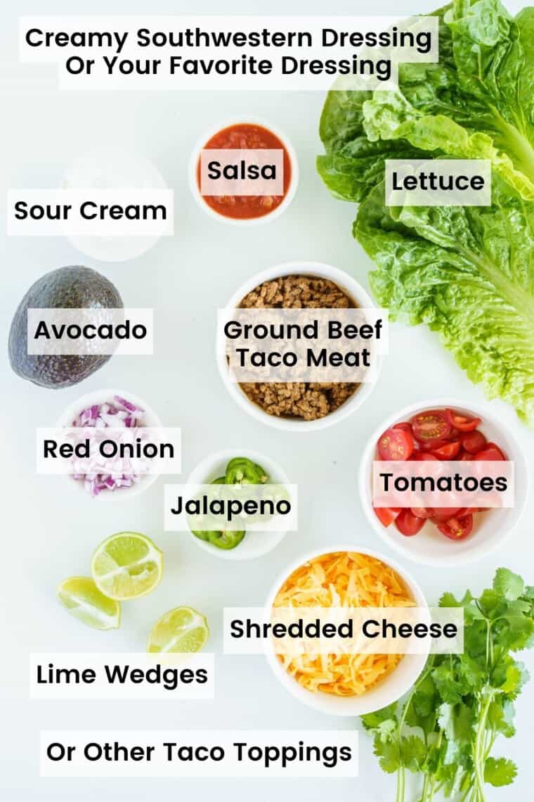 Bowls of ingredients and toppings for a taco salad with text labels, including Lettuce, Ground Beef, Shredded Cheese, Avocado, Red Onion, and more.