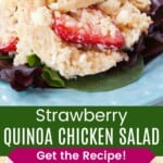A closeup of creamy quinoa chicken salad with strawberries and the quinoa salad over baby greens on a blue plate with a fork divided by a green box with text overlay that says "Strawberry Quinoa Chicken Salad" and the words "Get the Recipe!".