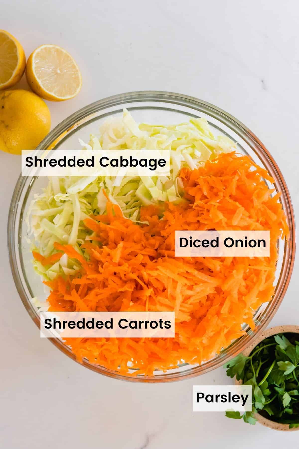 Coleslaw salad ingredients in a bowl with text labels including: Shredded Cabbage, Shredded Cabbage, Diced Onion, and Parsley.