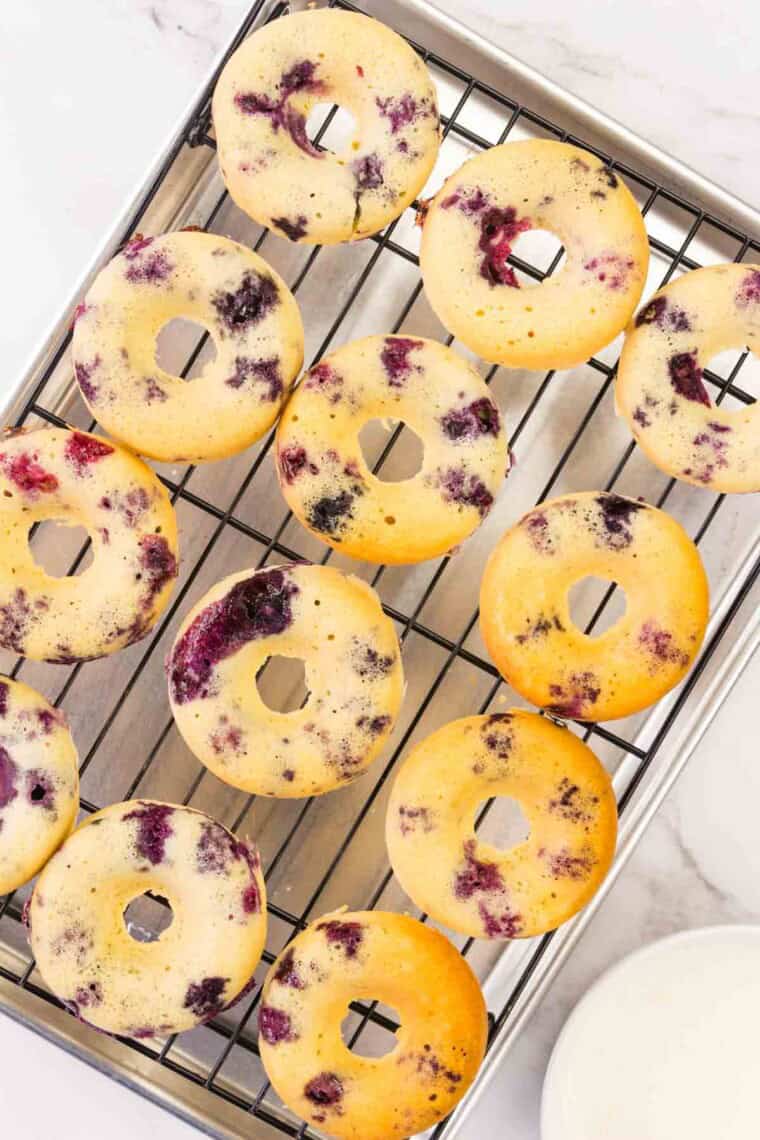 The batch of gluten free blueberry donuts cools on a rack.