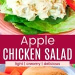 Chicken salad served over lettuce on a pink plate and a chicken salad sandwich on a roll divided by a pink box with text overlay that says "Apple Chicken Salad" and the words light, creamy, and delicious.