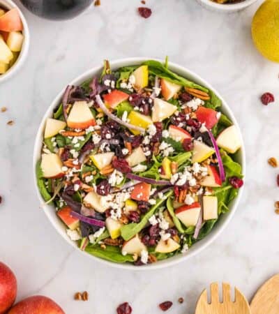 A bowl of harvest salad surrounded by apples and dried cranberries.