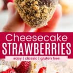 A hand holding a strawberry stuffed with a cream cheese filling and dipped in chocolate and three in a crystal dish with one cut in half divided by a red box with text overlay that says "Cheesecake Strawberries" and the words easy, classic, and gluten free.