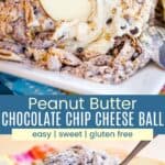 An apple slice scooping up some of the dessert dip and the sweet cheese ball coated with Muddy Buddies on a platter with a spreader knife in it divided by a blue box with text overlay that says "Peanut Butter Chocolate Chip Cheese Ball" and the words easy, sweet, and gluten free.